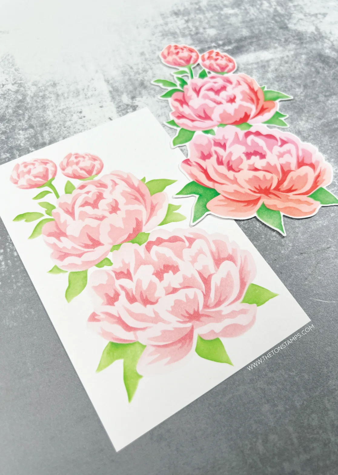 Peony Flower Mini Happy Pansy  - Interior Design Paper 评论和价格